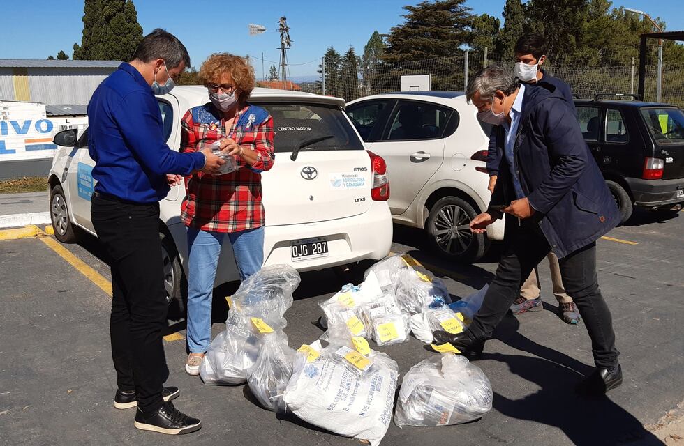 Huerta Grande se sumó al Programa “La Huerta en tu Hogar”
