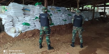 Prefectura Naval Argentina secuestró mega contrabando de maíz.