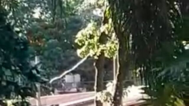 Nuevamente, Eldorado fue víctima de hechos vandálicos en una de sus plazas.