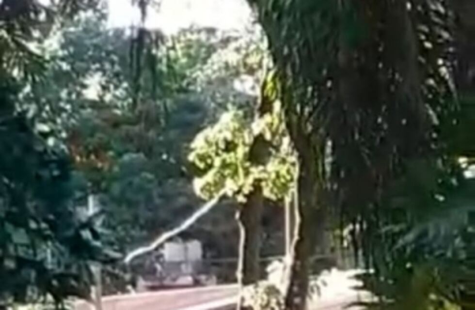 Nuevamente, Eldorado fue víctima de hechos vandálicos en una de sus plazas