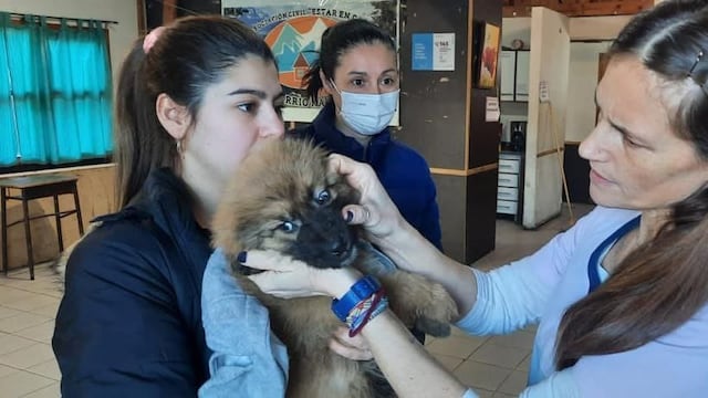 “Zoonosis más cerca” estuvo en el barrio Kaupén