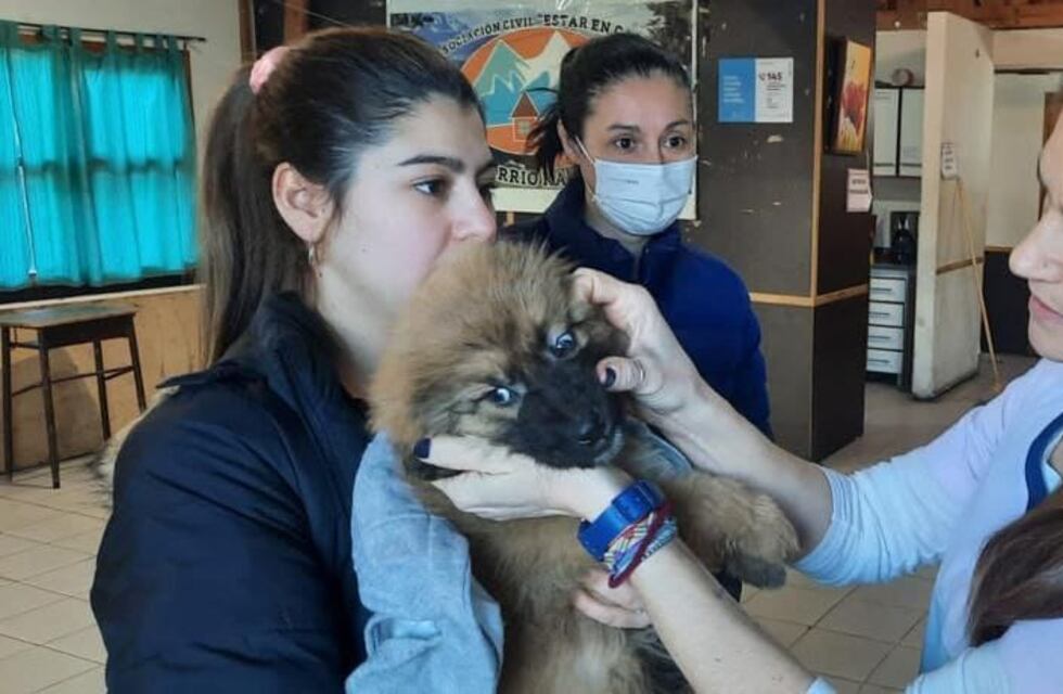 “Zoonosis más cerca” estuvo en el barrio Kaupén