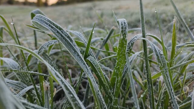 Azul registró la temperatura más baja del año