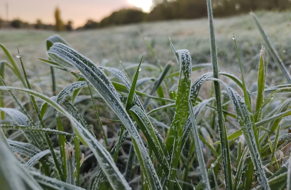 Azul registró la temperatura más baja del año
