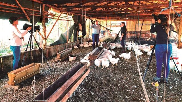 Tienen el objetivo de producir 30.000 pollos antes de fin de año.