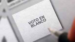 El voto en blanco se empieza a transformar en una alternativa: para qué sirve esta opción.