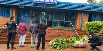 Fueron detenidos por el robo de hoja verde en Aristóbulo del Valle.