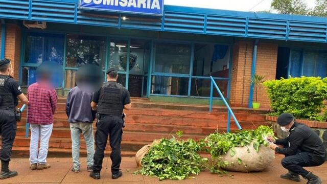 Fueron detenidos por el robo de hoja verde en Aristóbulo del Valle.
