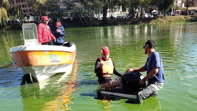 Un vendedor se tiró al Lago San Roque
