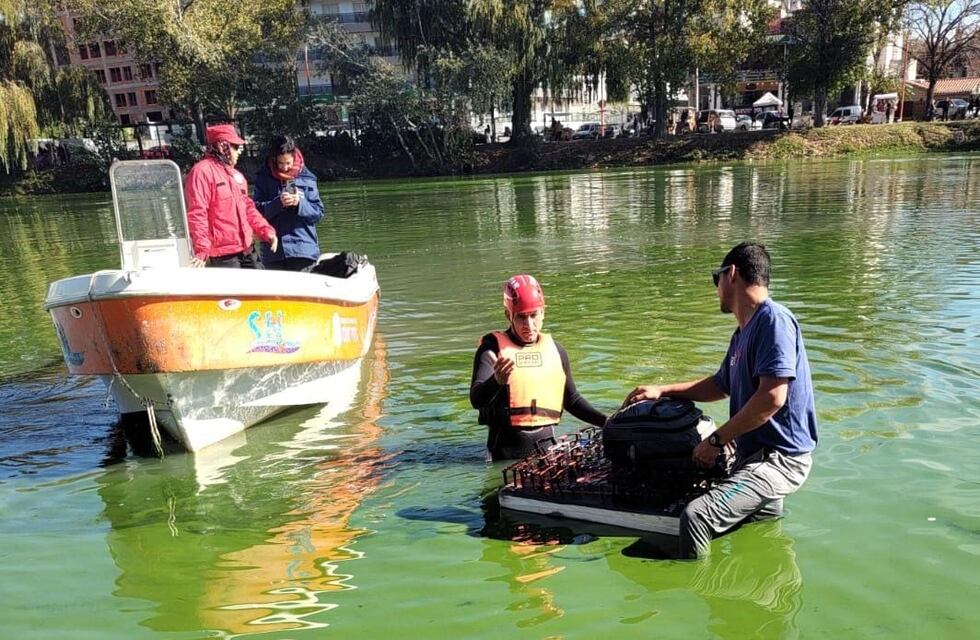 Carlos Paz: durante el fin de semana un vendedor ambulante y un auto terminaron en el Lago San Roque