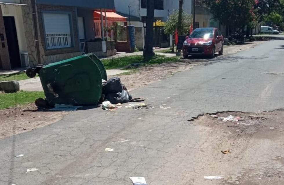 Hallaron un cadáver descuartizado dentro de un contenedor en barrio Saladillo