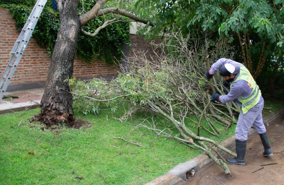En la Municipalidad recibieron 250 llamadas por la tormenta
