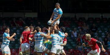 Los Pumas, con equipo confirmado para enfrentar a los All Blacks.