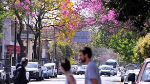 A un par de días del comienzo de la primavera, así estará el clima en Córdoba.
