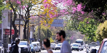 Cómo estará el tiempo en Córdoba.
