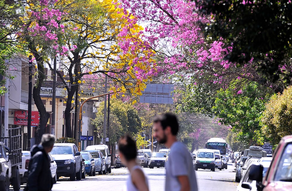 El clima en Córdoba: cómo estará el tiempo el fin de semana