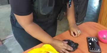 Personal de Lucha Contra el Narcotráfico de la Zona Sur realizó los operativos.