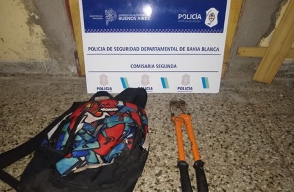 Bahía: Dos delincuentes robaron en la Cooperativa de Charlone