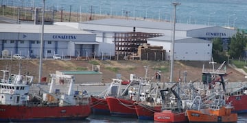 Buen comienzo de año para los puerto de la provincia