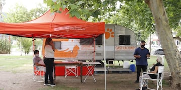 Quirófano móvil "castraciones gratuitas" en Carlos Paz.