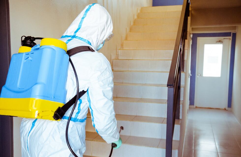 Continúa el programa de desinfección en espacios comunes