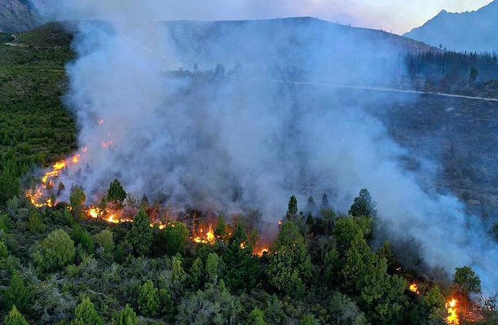 Incendios en Argentina: hay un solo foco activo que se encuentra en Río Negro