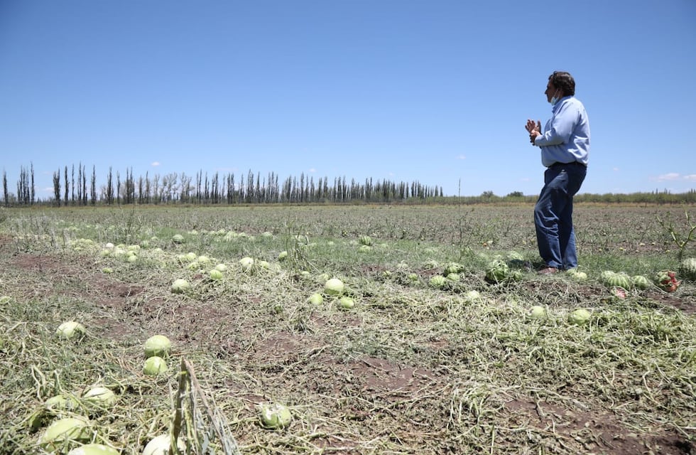 Funcionarios de Economía recorrieron zonas afectadas por la piedra en el Sur