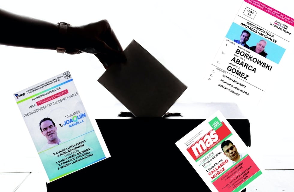 Elecciones en San Luis: Qué candidatos quedaron afuera en las PASO