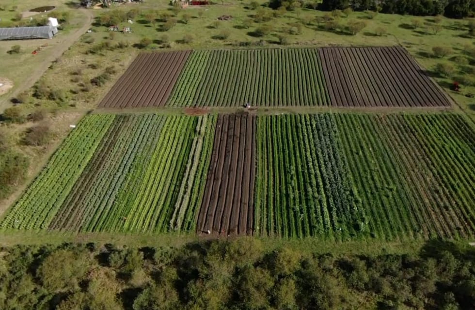 El Gobierno Nacional invierte 57 millones en obras para el PASSS