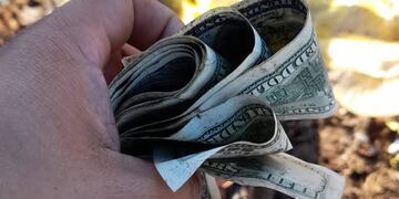 Vecinos de la ciudad se acercaron al descampado en busca de más billetes.