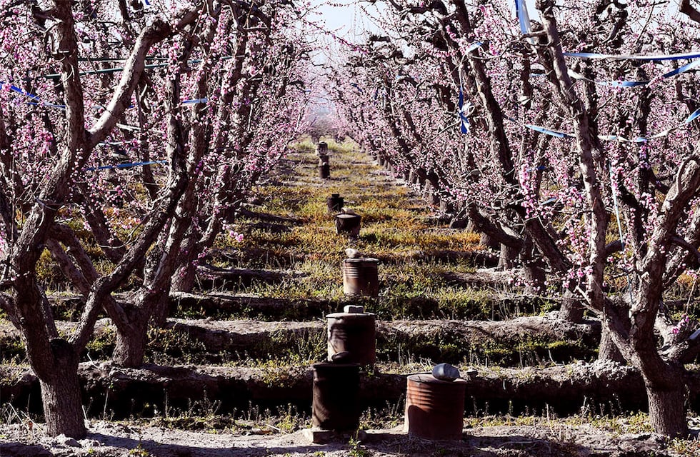 Clima en el sur mendocino: baja la temperatura y hay alerta por heladas