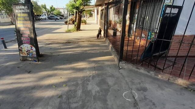 La víctima recibió varios disparos en el rostro mientras atendía la granja de Melián al 6300.