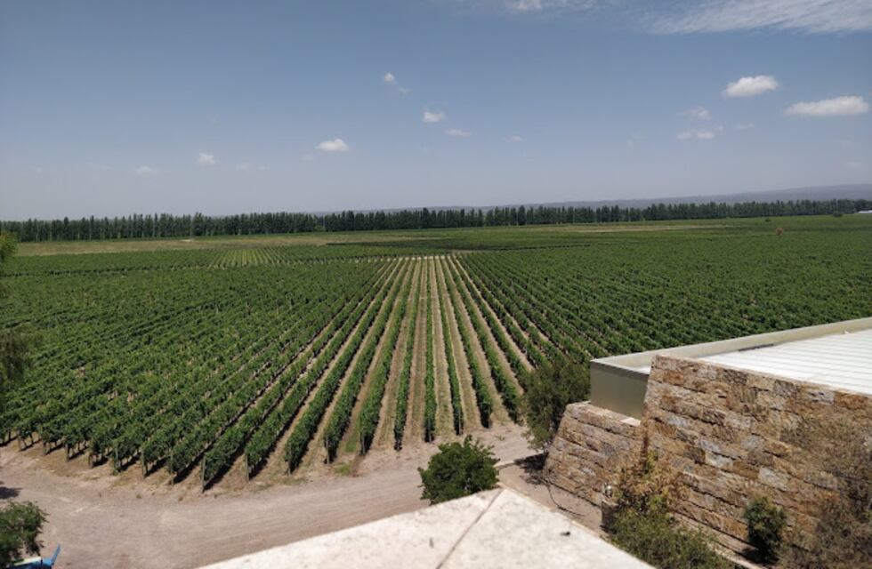 Un turista brasileño se cayó de la terraza de una bodega en Luján y quedó internado en terapia intensiva