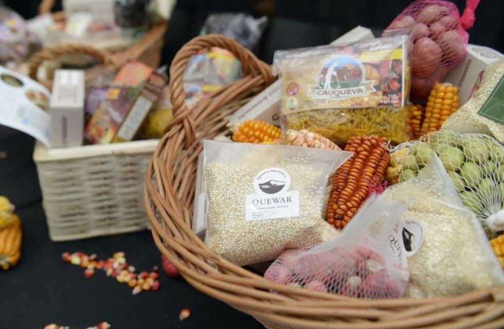 Salteños de la Puna producen una quinoa orgánica de alta calidad