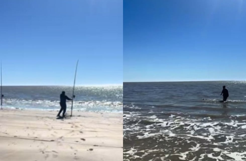 Sorpresa en San Clemente del Tuyú: un equipo de pesca atrapó un espectacular ejemplar de tiburón