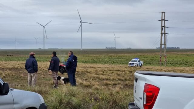 Robo de cables en Bahía Blanca.