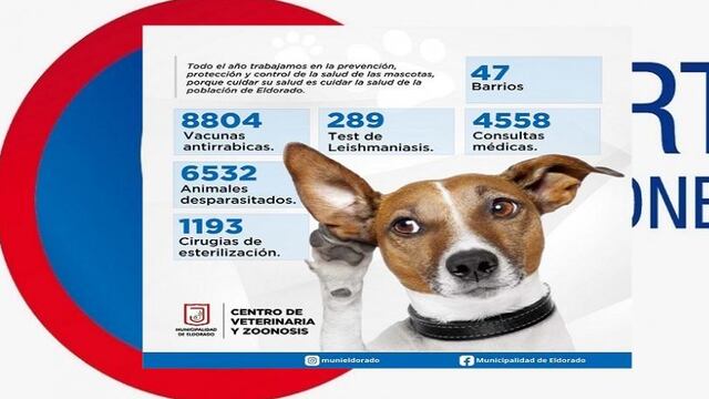 El Centro de Veterinaria y Zoonosis  de Eldorado vacunó a más de  8800 animales en el año