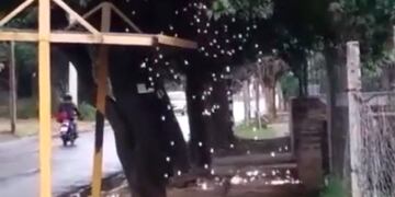 Las intensas descargas eléctricas en una parada de colectivos de Córdoba provocaron importantes chispazos.