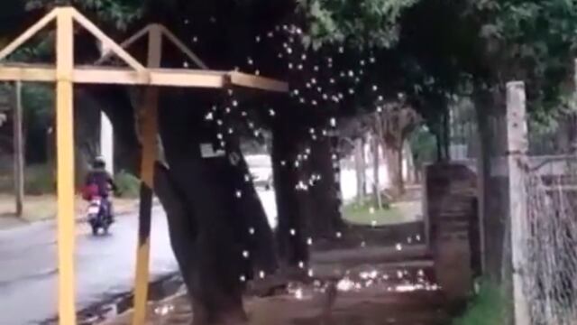 Las intensas descargas eléctricas en una parada de colectivos de Córdoba provocaron importantes chispazos.