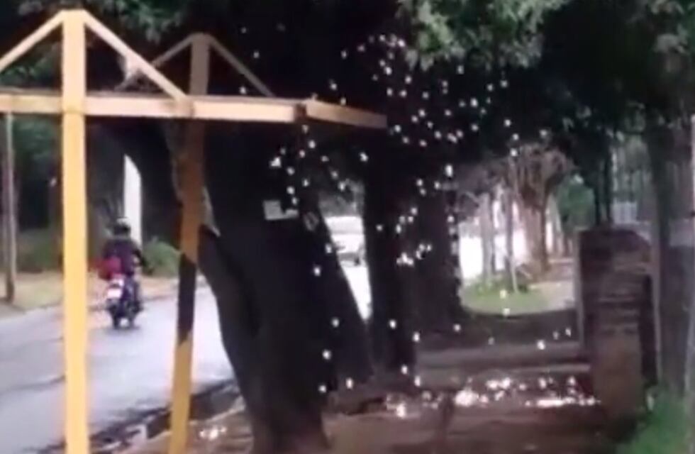 Transporte urbano en Córdoba: peligro de electrocución en una parada de colectivo
