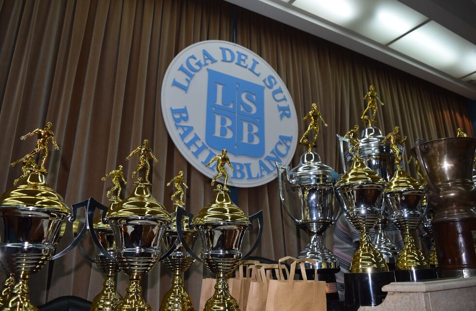 Liga del Sur: se dio por finalizada la temporada y puntaltenses se consagraron campeones