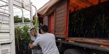 El programa de producción se desarrolla en toda la provincia.