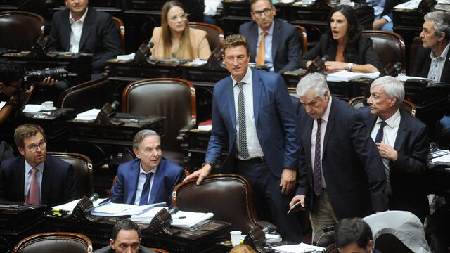 Diputados de Hacemos Coalición Federal, el bloque presidido por Miguel Pichetto (Foto: Federico López Claro)