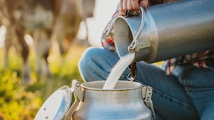 Despidieron a 300 empleados de una importante empresa láctea.