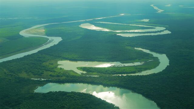 Ambientalistas buscan ampliar las zonas protegidas.