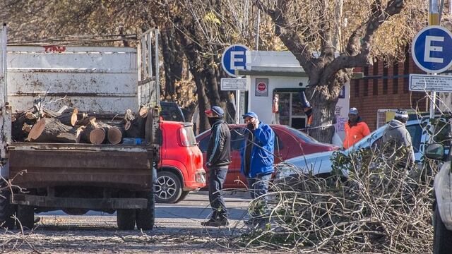 Los trabajos de poda invernal del arbolado público genera varias toneladas de leña. Los vecinos pueden solicitarla para usarla para calefaccionarse. Gentileza