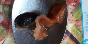 Desagradable sorpresa en el interior de una salsa lista.