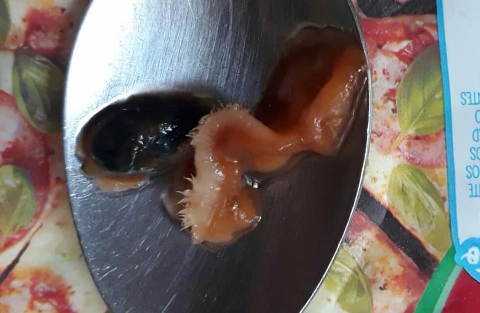 Una mendocina abrió un sachet de salsa lista y se encontró con una sorpresa desagradable