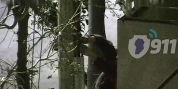 La Policía atrapó a un hombre que violentaba el tendido eléctrico. (Policía)