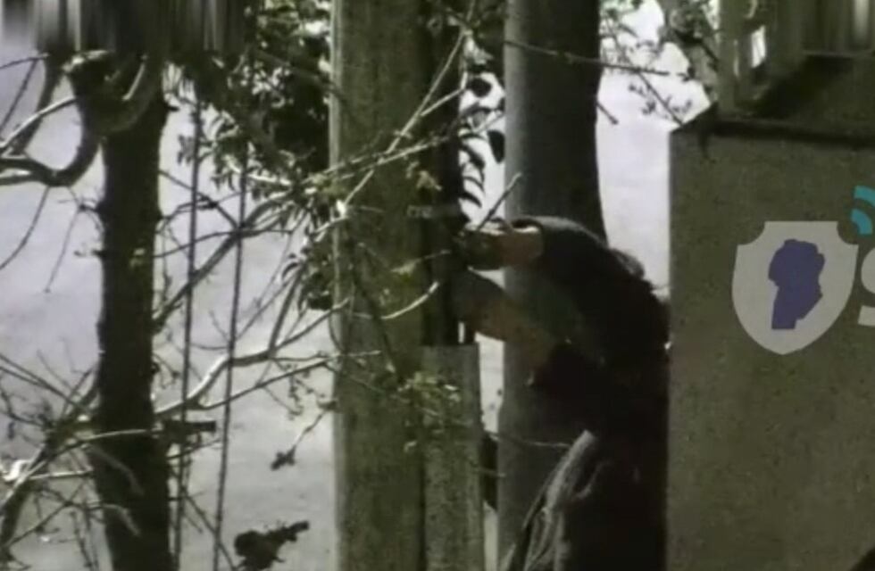 Video: atraparon a un hombre mientras robaba cables de las calles de Córdoba